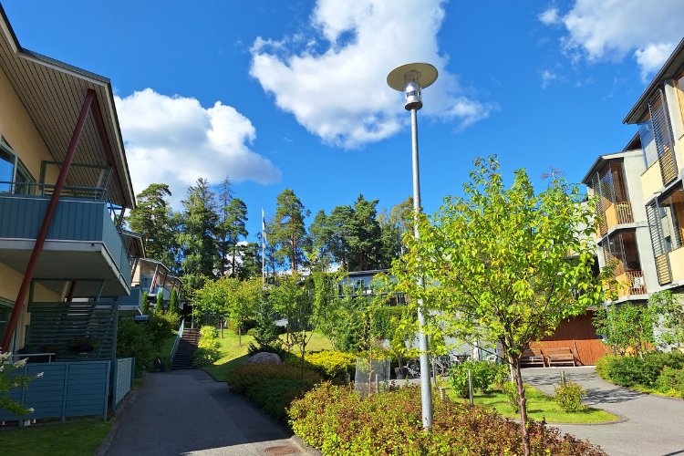 Blå himmel och flaggan i topp på en grönskande gård mellan två husbyggander.