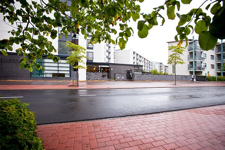 Gatuvy med våt asfalt