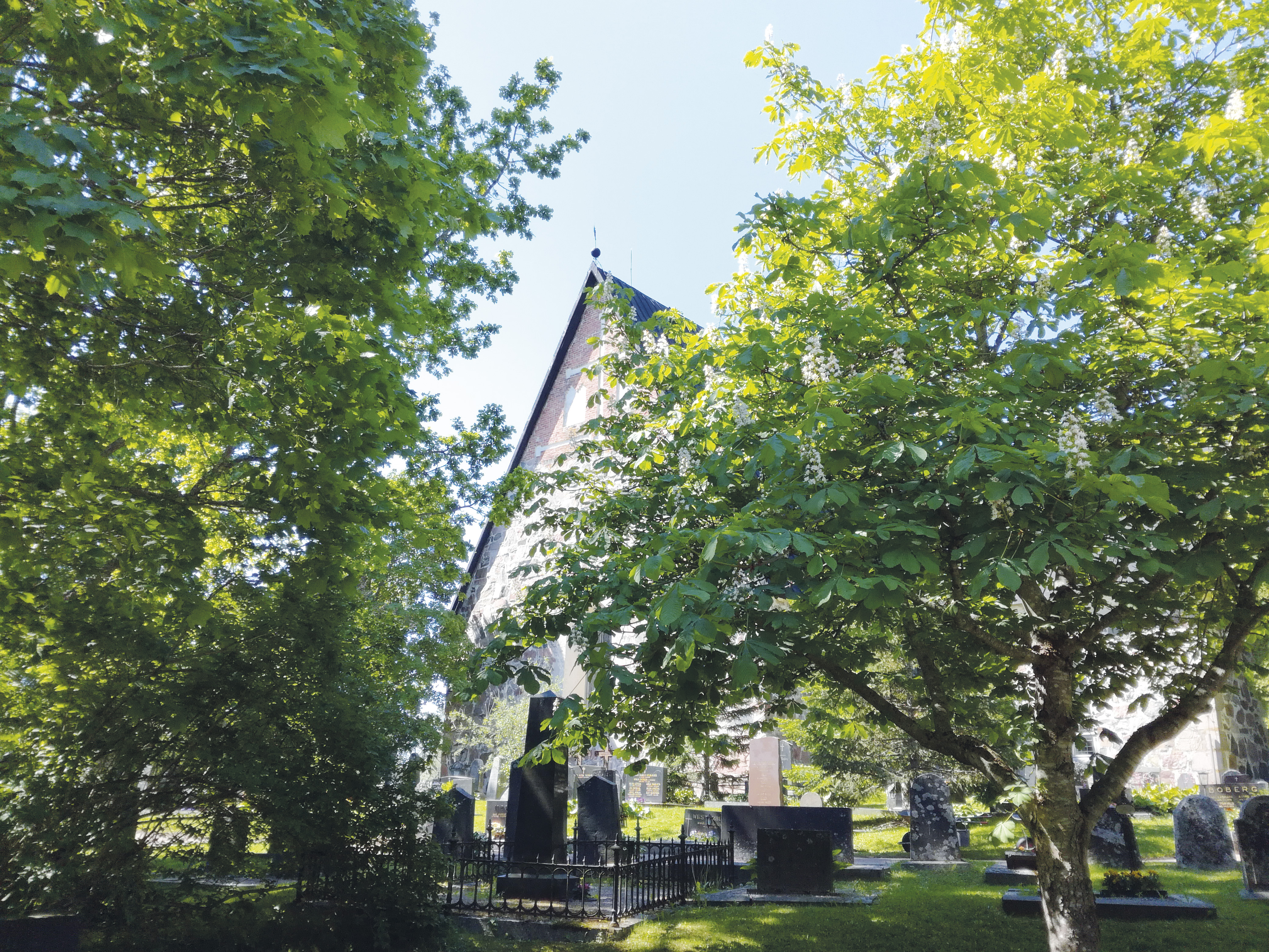 Högmässa Esbo domkyrka omgiven av gröna träd.