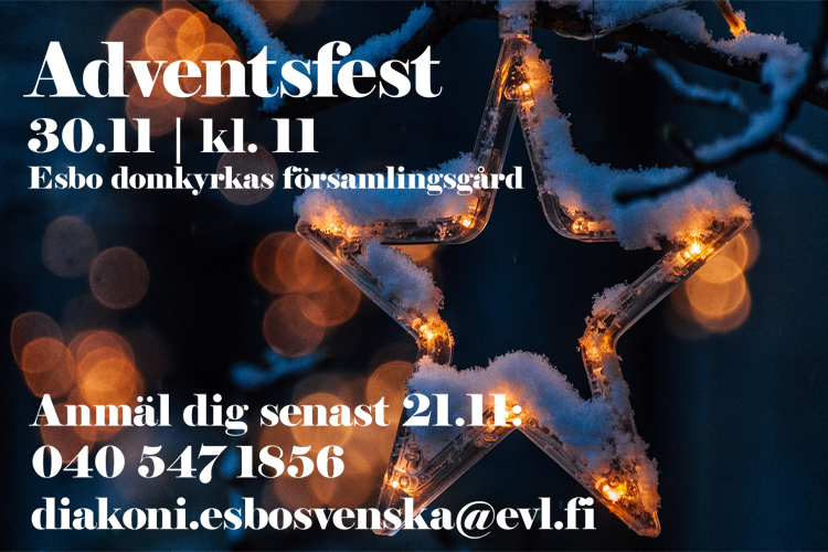 En tänd stjärna med snö på hänger i en trädgren utomhus i mörker.