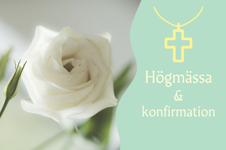 En vit rosliknande blomma och en illustration i mintgrönt med ett kors i gult och på bilden texten: högmässa & konfirmation.