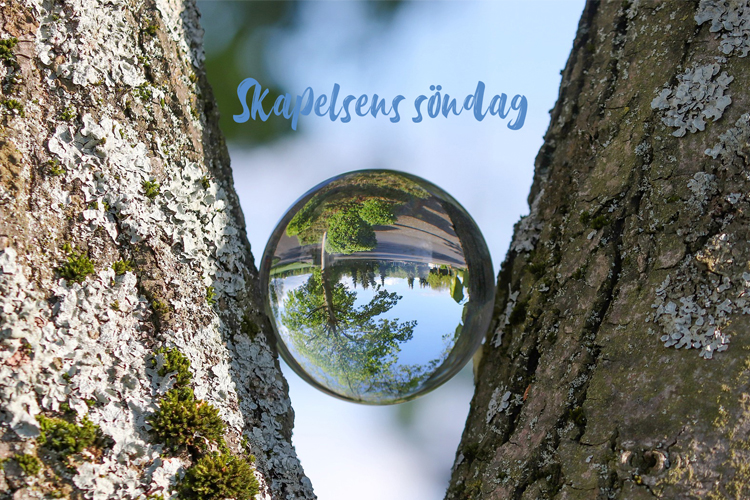 Högmässa på skapelsens söndag En glaskula som reflekterar natur och träd.