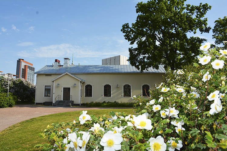 Bergans kapell omgiven av midsommarrosor