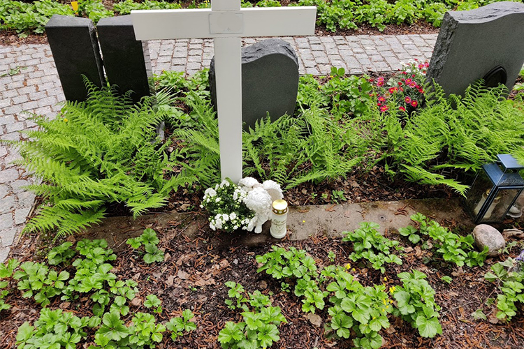 En gravsten med gröna växter i förgrunden. + Stenlagda gångar.