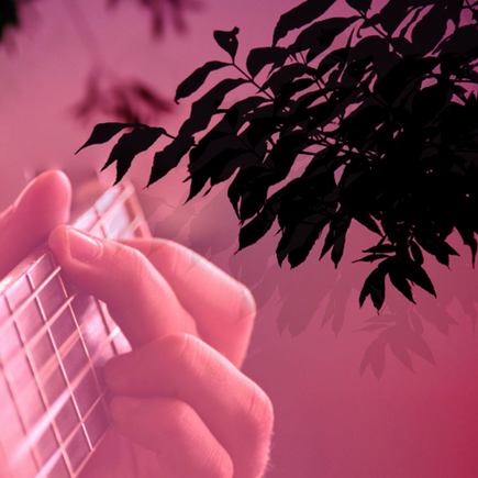 En rosa purpurfärgad bild med svarta löv och en närbild på fingrar som knäpper på en gitarr.